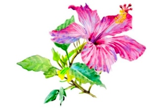 Virtual Advanced Watercolor Florals